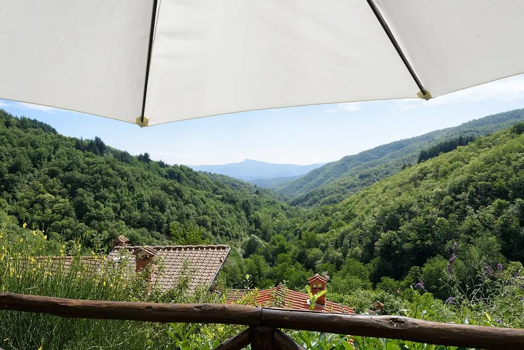 Il Borgo Dei Corsi - Charming Holiday Apartments Ortignano Raggiolo 0*,  Italy