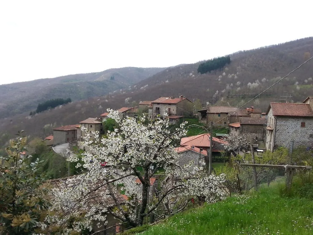 Il Borgo Dei Corsi - Charming Holiday Apartments Ortignano Raggiolo カントリーハウス