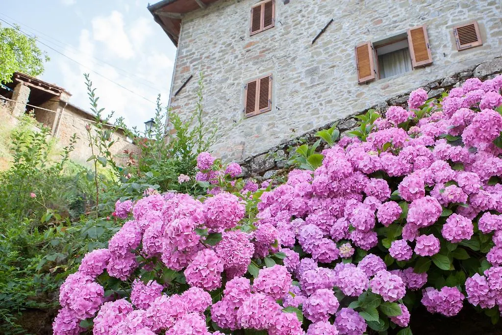 Il Borgo Dei Corsi - Charming Holiday Apartments Ortignano Raggiolo 0*,  イタリア